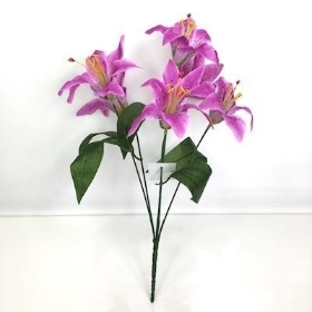 36 x Assorted Lily Bush 35cm